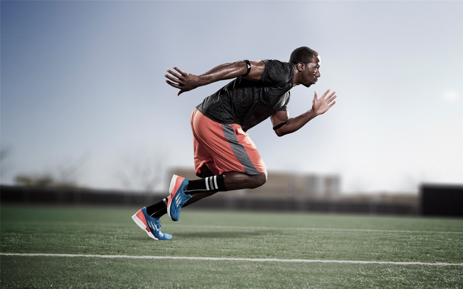 F1新规则引发车队技术革命，f1车辆规则