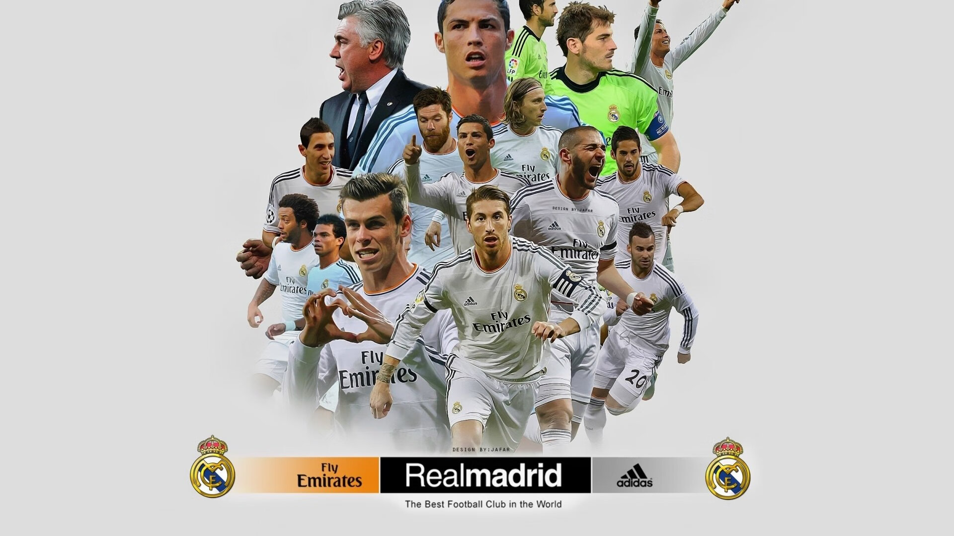 _野生动植物保护跑：运动与环保双赢_，野生动植物保护宣传海报